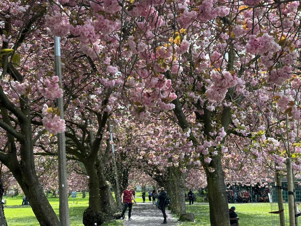 Edinburgh, Scotland (2022) (1/2)