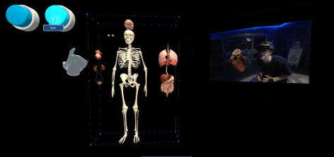An Immersive 3D Visualization of Medical Data in HoloViz Office